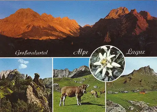 Großwalsertal, Vorarlberg,Alpe Laguz ngl F1139