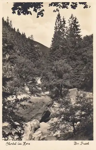 Okertal im Harz, Felsblock der Frosch ngl E8628