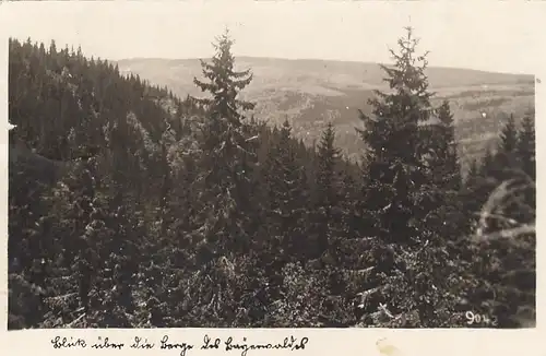 Blick über die Berge des Bayerwaldes gl1943? E8089