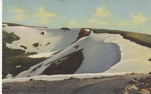 Rocky Mountain Nat.Park, CO., Fall River Pass, Trail Ridge Road ngl E8729