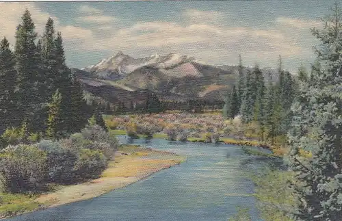 Rocky Mountain Nat.Park, CO., Mt.Baker ngl E8744