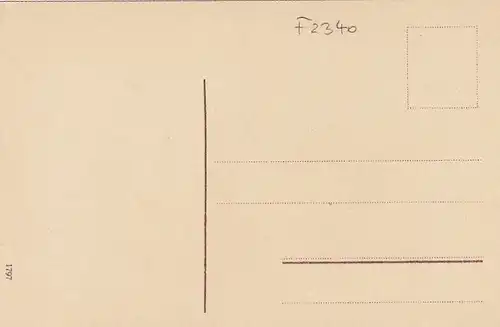 Neujahr-Wünsche mit Tannenzweig, Schneeglöckchen ngl F2340