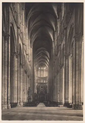 Amiens (Somme) Cathédrale ngl E6641