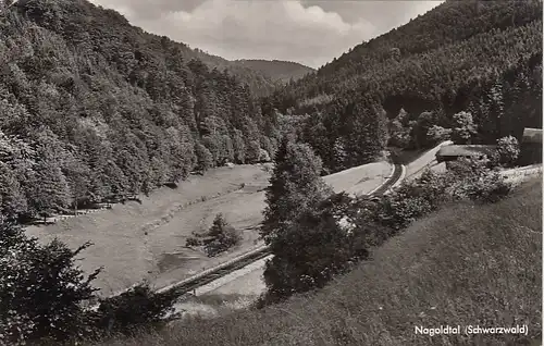 Nagold-Tal, Schwarzwald gl1959 E8885