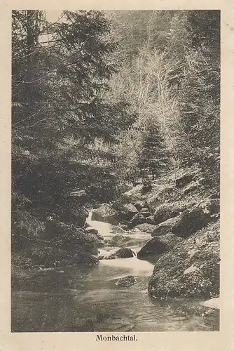 Partie im Monbachtal, Schwarzwald, nahe Bad Liebenzell gl1917 F0156