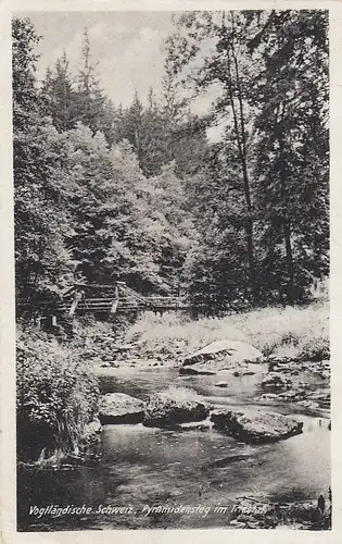 Vogtl. Schweiz, Pyramidensteg im Triebtal gl1947 E6937