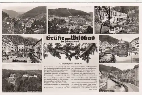 Grüsse aus Wildbad, Schwarzwald, Mehrbildkarte gl1951 F2612