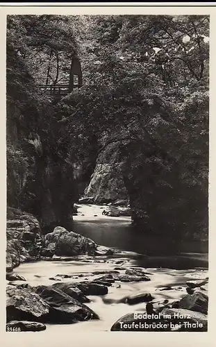 Bodetal im Harz, Teufelsbrücke bei Thale ngl E6605