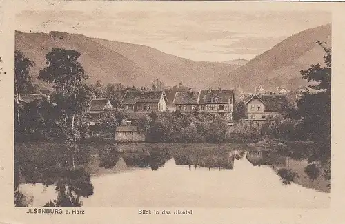 Ilsenburg, Harz, Blick in das Ilsetal gl1921 E8476