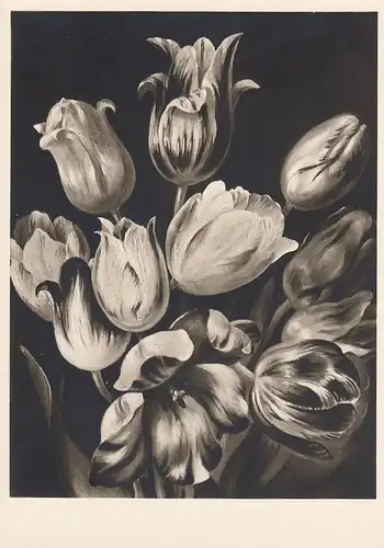 J.W.TISCHBEIN Tulpenstrauß ngl E6409