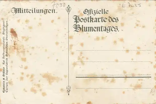 Stuttgart, Silberne Hochzeit 1911 Württ.Königspaar ngl E7055