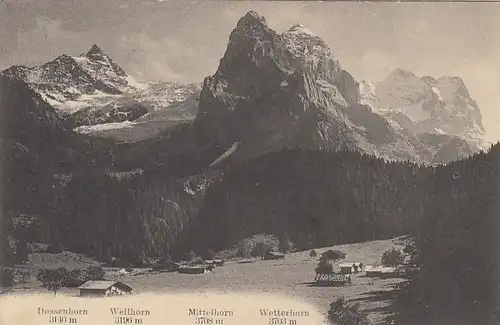 Dossenhorn, Wellhorn, Mittelhorn und Wetterhorn gl1911 F2756