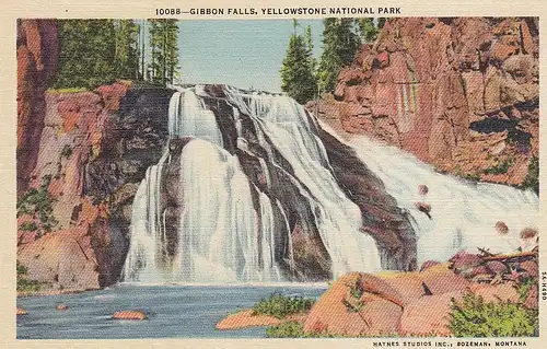 Yellowstone Nat.Park, GibbonFalls ngl E8668