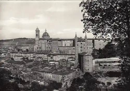 Urbino, Panorama ngl E9337