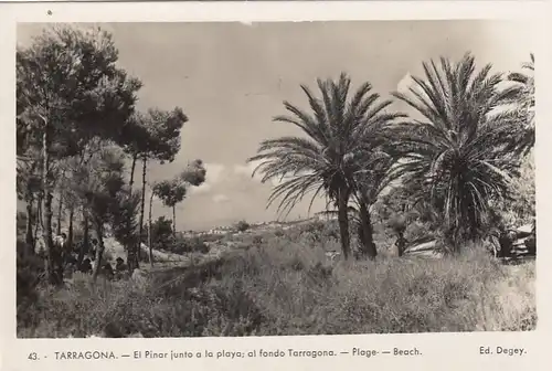 Tarragona, El Pinar junto a la playa ngl F1975