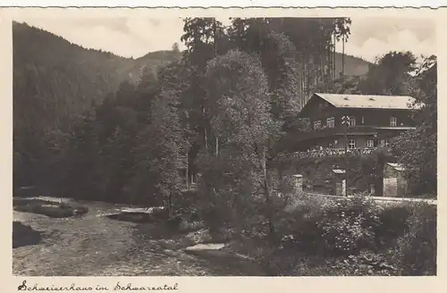 Schweizerhaus im Schwarzatal, Thür.Wald ngl E6984