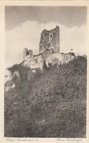 Ruine Drachenfels bei Königswinter a.Rhein, ngl E7372