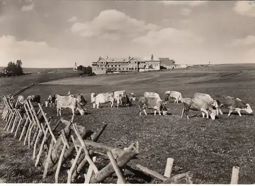 Schwarzwald, Hotel Holdenhof, am Schauinsland bei Freiburg i.Breisgau, glum 1960? E6811