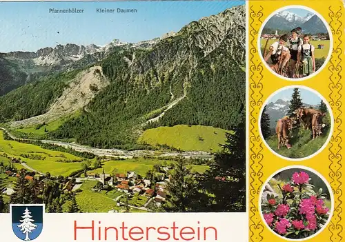 Hinterstein im Allgäu, mit Pfannehölzer und Kleiner Daumen gl1985 F3105