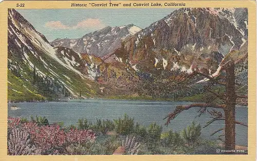 Convict Lake, CA., Hictoric Convict Teree ngl E9131