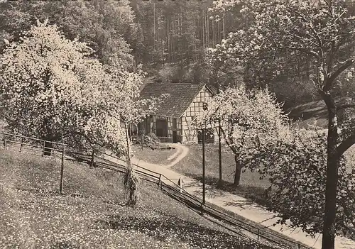 Pfingsten-Wünsche mit Baumblüte gl1966? F0920