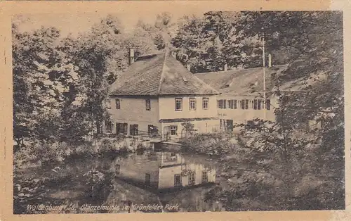 Waldenburg i.Sa., Glänzelmühle im Grünfelder Park ngl E9075