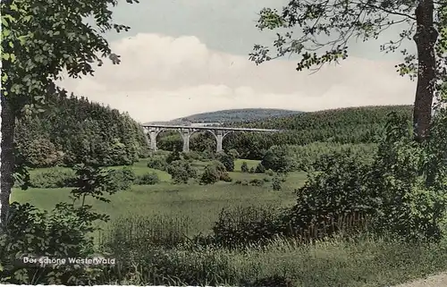 Der schöne Westerwald, Wölferlingen, Westerwälder Seenplatte ngl E9362