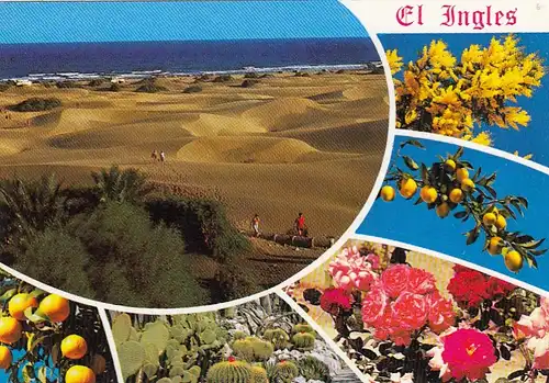 Gran Canaria, Souvenir Playa del Ingles gl1980 F2406