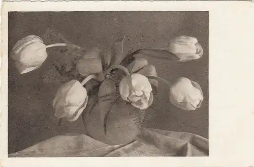 Vase mit Tulpen gl1941 E7877