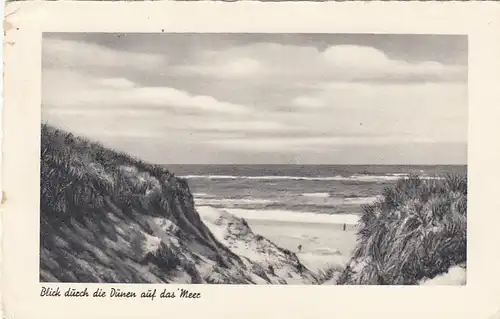 Norderney, Blick durch die Dünen aufs Meer ngl F3537