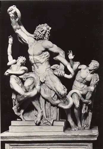 Laocoonte (cortile ottagono), Museo di Scultura, Citta' del Vaticano ngl F3555
