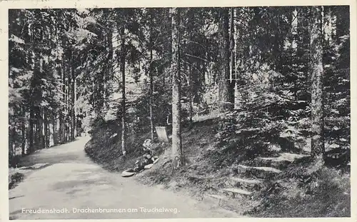 Freudenstadt im Schwarzwald, Drachenbrunnen am Teuchelweg gl1936 E7932