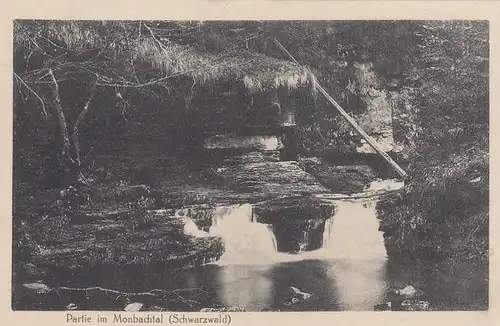 Partie im Monbachtal, Schwarzwald, nahe Bad Liebenzell ngl E8002