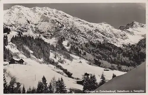 Gaisalpe m. Entschenkopf, Nebelhorn u.Seespitze, Allgäu, gl1937 E7665