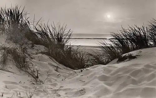 Insel Sylt, Sonnenuntergang ngl F0220