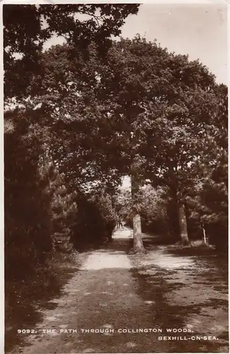 The Path through Collington Woods, Bexhill-on-Sea gl1957 F2723