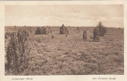 Lüneburger Heide, Am Wilseder Berg ngl F0379