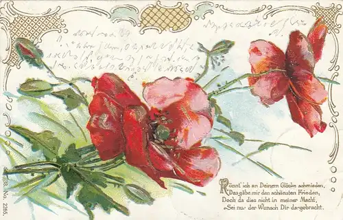 Blumen mit Spruch, Prägedruck gl1905 F1489