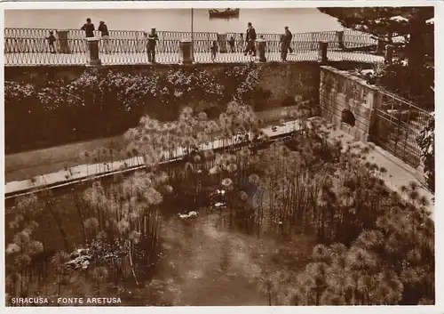 Siracusa, Fonte Aretusa ngl F1498