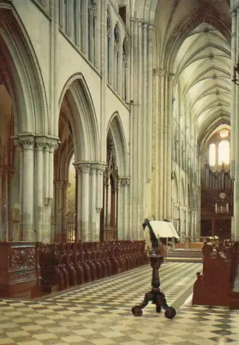 Dol-de-Bretagne (Ille-et-Vilaine) Cathédrale Saint-Samson ngl E7817