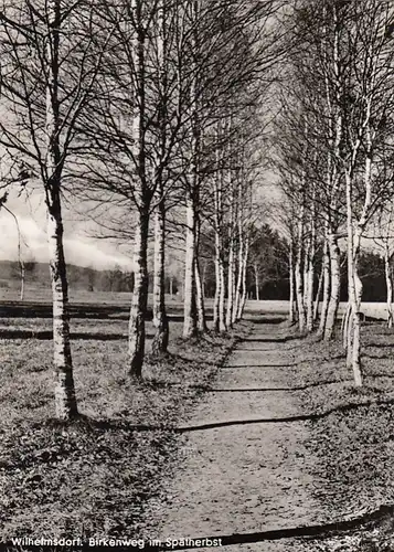 Wilhelmsdorf, Birkenweg im Spätherbst ngl F3907