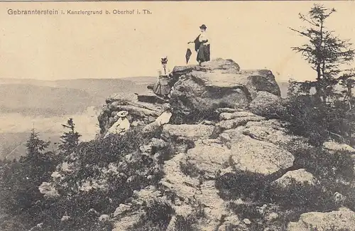 Gebrannter Stein im Kanzlergrund bei Oberhof (Thür. Wald) gl1912 E8012