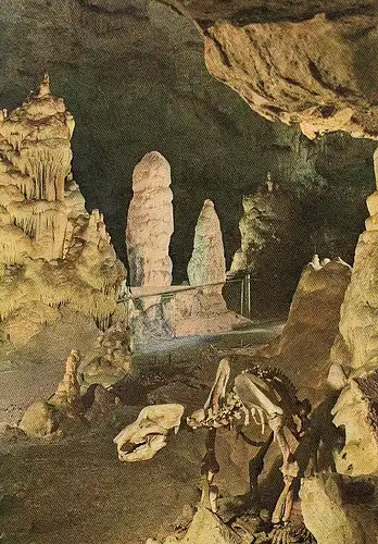 Erpfingen, Schwäb.Alb, Bärenhöhle, Karlshöhle ngl F0655