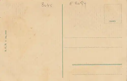Lüneburger Heide, Birken am Dorfrand ngl E8094