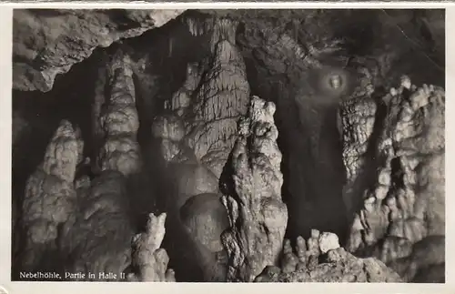 Nebelhöhle bei Genkingen-Unterhausen, Partie in Halle II ngl E8139