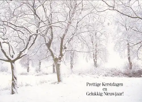 Prettige Kerstdagen en Gelukkig Nieuwjaar nglum 1960? E8205