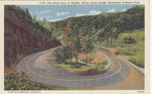 Great Smoky Mountains Nat.Park, The Road Turn at Walker Prong ngl E8721
