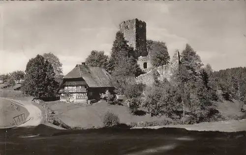 Ruine Waldau bei Königsfeld gl1958 E8857