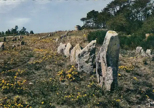 Bretagne, Carnac, Alignements mégalithiques de Kermario gl1970 F4378