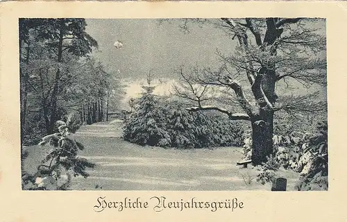 Neujahr-Wünsche aus Winterwald gl1931 E8201